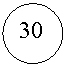 ����: 30