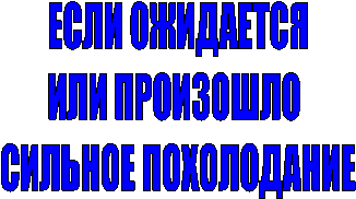 ЕСЛИ ОЖИДАЕТСЯ
ИЛИ ПРОИЗОШЛО
СИЛЬНОЕ ПОХОЛОДАНИЕ