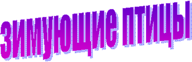 зимующие птицы