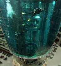 �������-���������� �������� � ������� "AquaDom". 8 ����