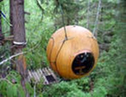 http://im8-tub.yandex.net/i?id=6