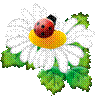 flower133.png