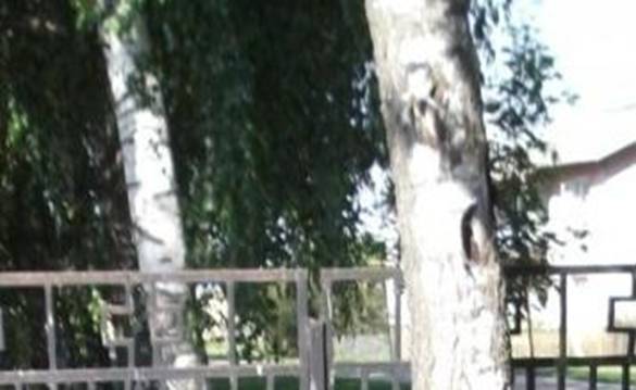 D:\����\�������� 2011\��� ��������\DSCF0275.jpg