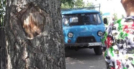 D:\����\�������� 2011\����\���� ��������\DSCF0282.jpg