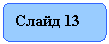 ����������� �������������: ����� 13