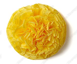 http://*****/files/imagecache/orig_with_logo2/images/techno/paper/PICT9798.jpg