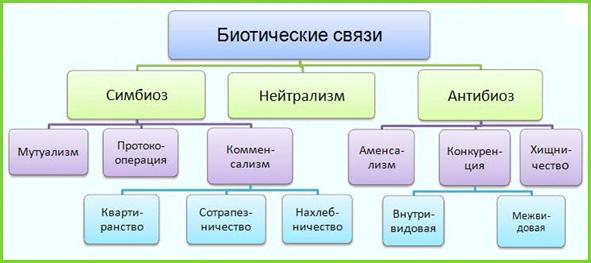http://school.xvatit.com/images/6/63/Ek1.jpg