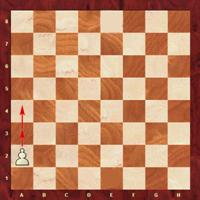 Pawn