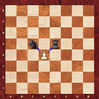 Pawn