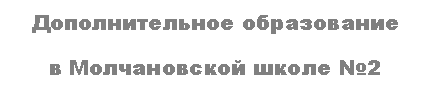 Подпись: Дополнительное образование
в Молчановской школе №2