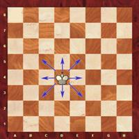 Chess king