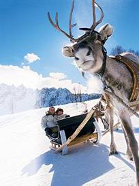 snow1_1520376i