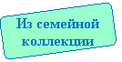 ����-�����: