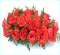 red-roses