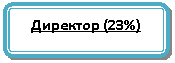 Блок-схема: альтернативный процесс: Директор (23%)