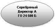 Овал: Серебряный Директор А ГОБ