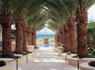 Palm Court