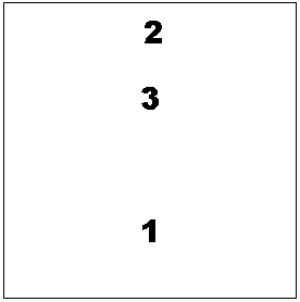 �������: 2

3



1

