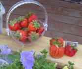C:\Users\�����\Desktop\DSC01011.JPG