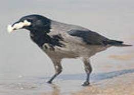 C:\Users\Public\Pictures\Sample Pictures\is[2].jpg