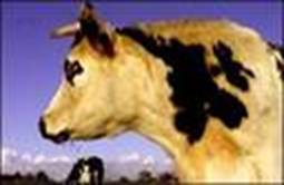 C:\Users\Public\Pictures\Sample Pictures\isCAOFRQN7.jpg