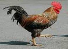 C:\Users\Public\Pictures\Sample Pictures\isCA2S71WG.jpg