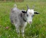 C:\Users\Public\Pictures\Sample Pictures\isCAXKEAHY.jpg