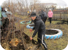 C:\Documents and Settings\Admin\Рабочий стол\2013 год Матинова\окт. 2012\посадка деревьев\Изображение 113.jpg