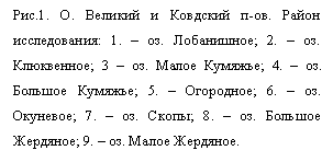 �������: