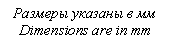 �������: