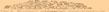 ���. 7. Mycoderma cerevisiae �� �������������� ���������.