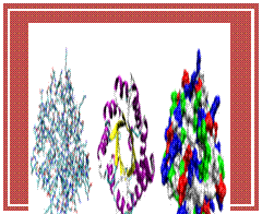 �������: 
