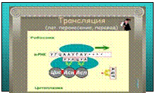 Подпись: