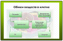 �������: 