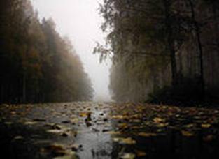 Описание: http://im6-tub-by.yandex.net/i?id=3-72&n=21