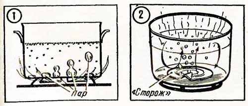 http://*****/wp-content/uploads/2010/08/moloko.jpg
