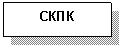 �������: ����