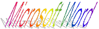 Microsoft Word
