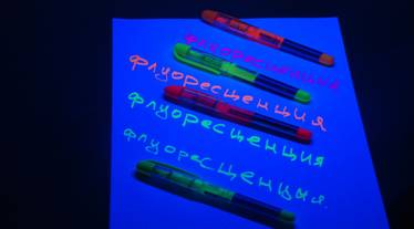 D:\103NCD80\DSC_2446.JPG