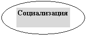 ����: ������������
