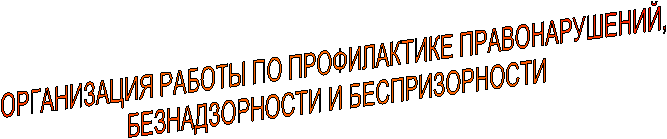 ОРГАНИЗАЦИЯ