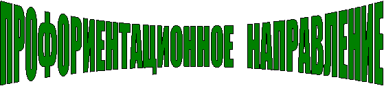 ПРОФОРИЕНТАЦИОННОЕ НАПРАВЛЕНИЕ