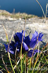 Описание: http://*****/upload/images/Leto/Letnie%20turi%202011/Vremja%20prikluchenii/malenkie/0005.jpg