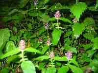 ������������