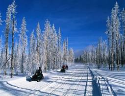 2324-Sleighs.jpg