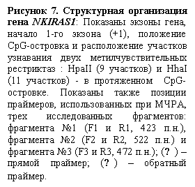 �������: