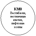 ����: