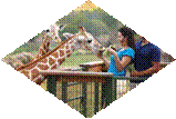 C:\Users\�����\Desktop\full_1209_7563.jpg