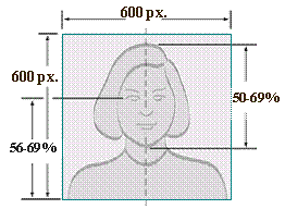 Head Diagram