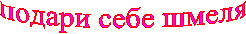 ������ ���� �����